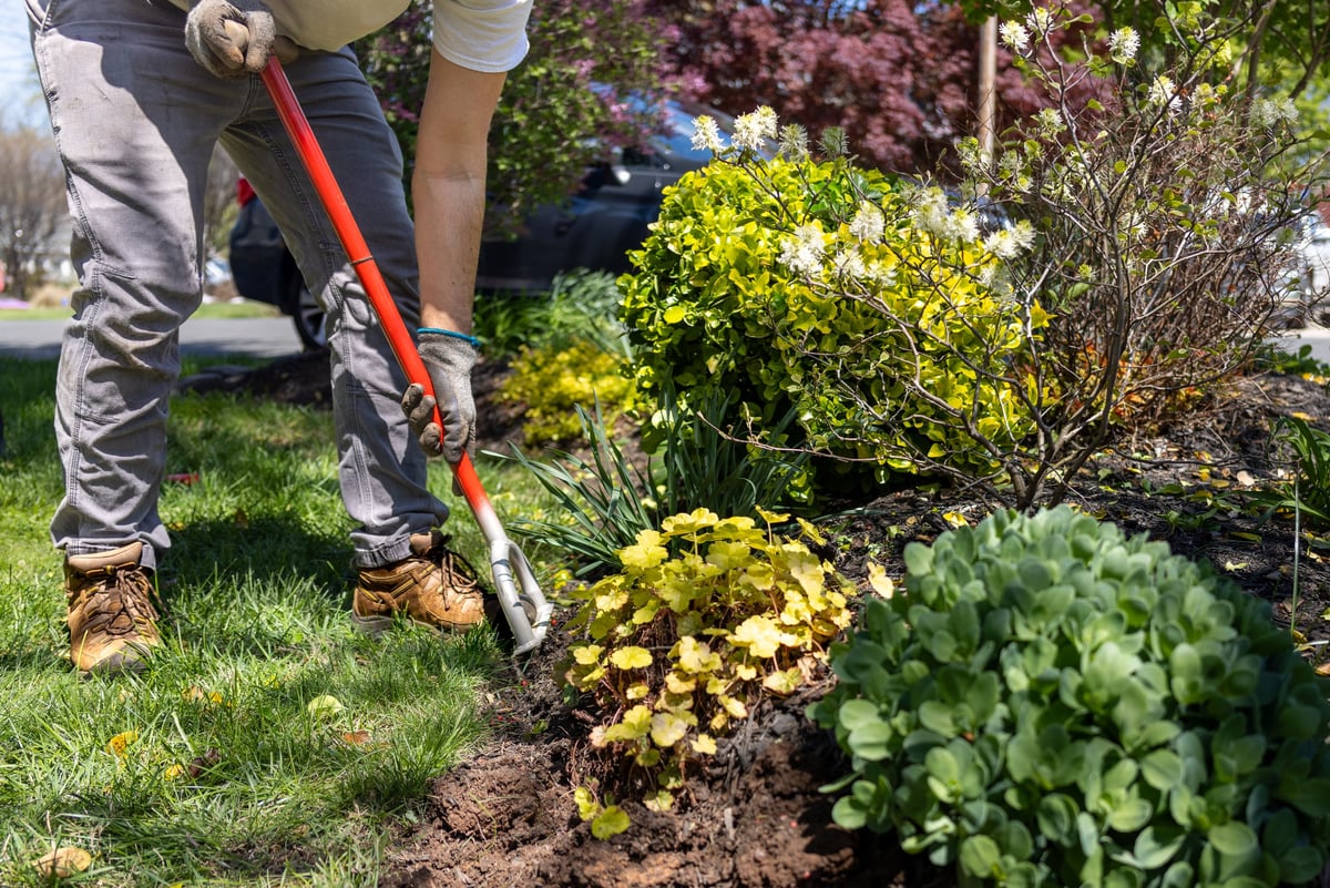 Landscaping crew working on garden beds at a residential property